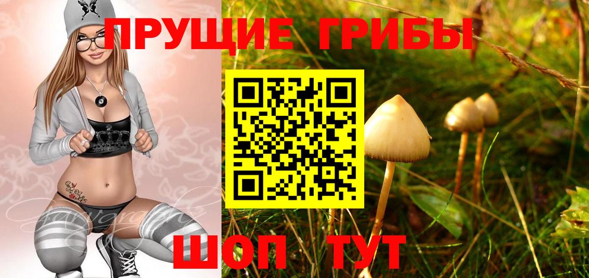 Псилоцибиновые грибы Cubensis Губкинский