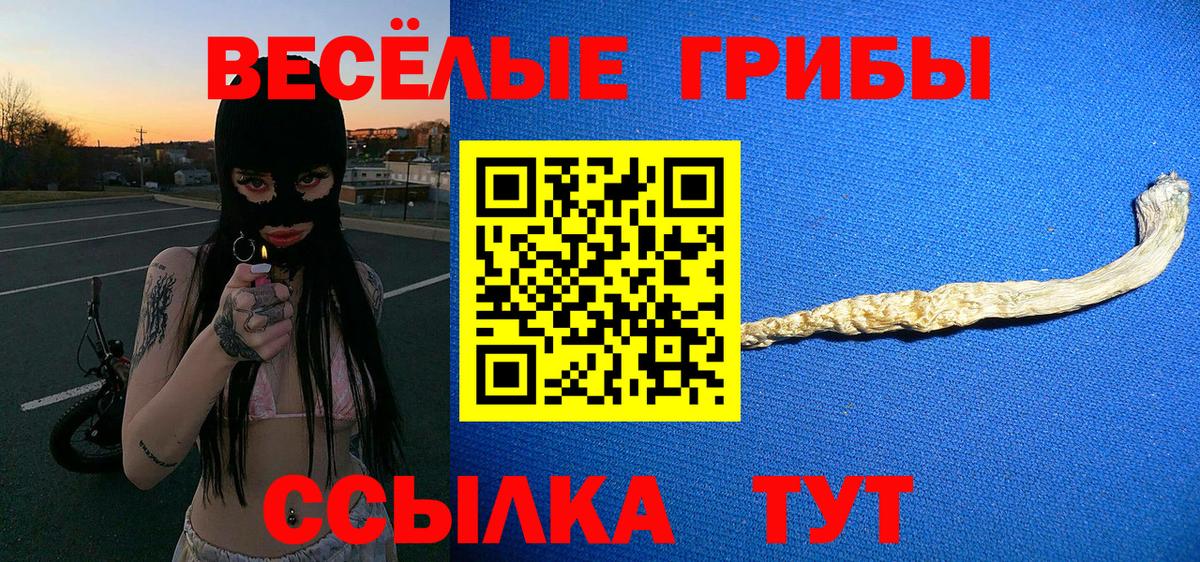 Галлюциногенные грибы Psilocybe  Вход с VPN  Губкинский 